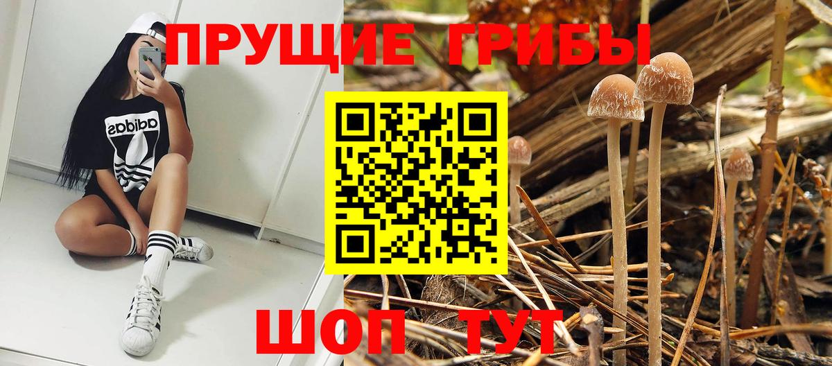 Галлюциногенные грибы Magic Shrooms  Псилоцибиновые грибы Psilocybe  Вход с VPN  Лангепас 